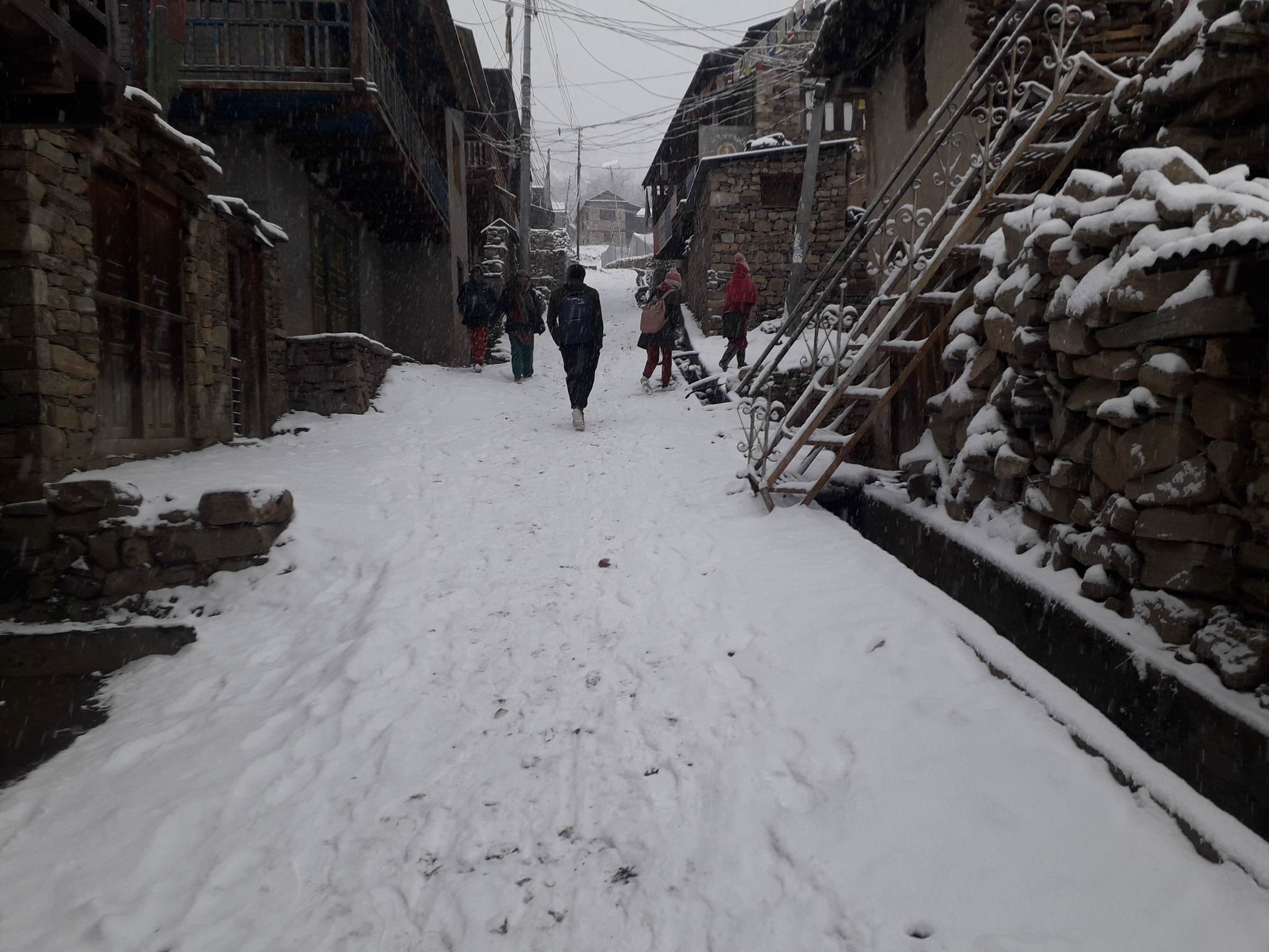 humla snow 21674199900.jpg